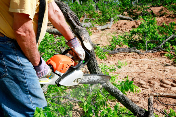 Best Emergency Tree Service  in Fords Prairie, WA